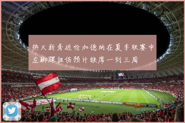 热火新秀迈伦加德纳在夏季联赛中左脚踝扭伤预计缺席一到三周