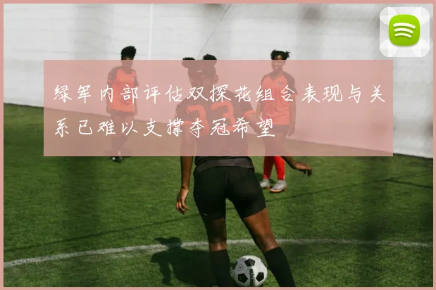 绿军内部评估双探花组合表现与关系已难以支撑夺冠希望