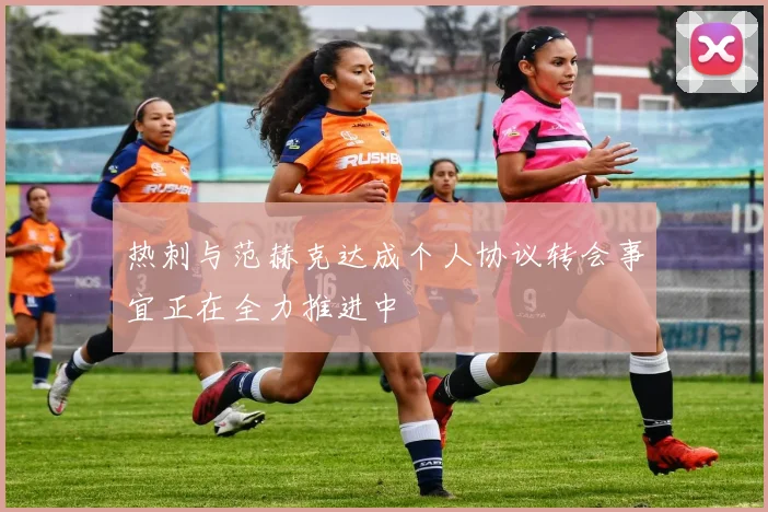 热刺与范赫克达成个人协议转会事宜正在全力推进中